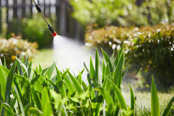 24/7 Emergency Mosquito Control experts in Millersport, OH