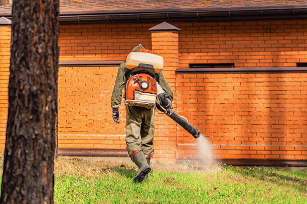 Top rated local Mosquito Control specialists in Millersport, OH